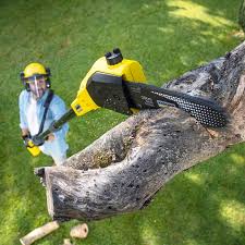 Best Lawn Renovation and Restoration  in North Port, FL