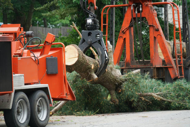 Best Utility Line Clearance  in North Port, FL